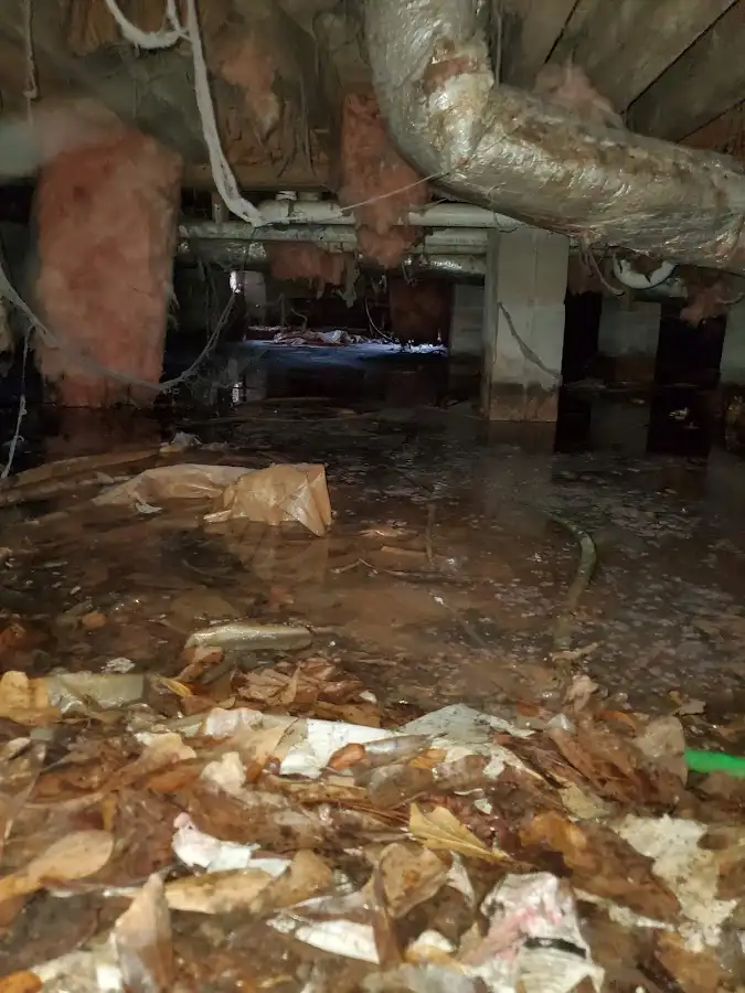Crawl space flood assessment for Leak Detection & Repair in West Jordan